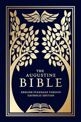 The Augustine Bible cover
