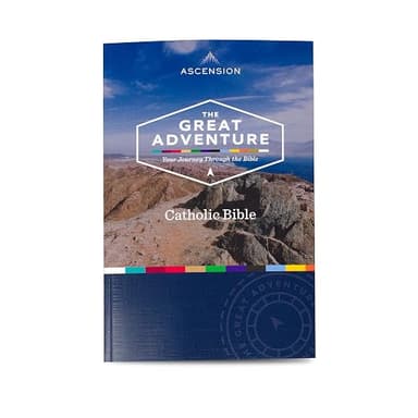 The Great Adventure Catholic Bible cover